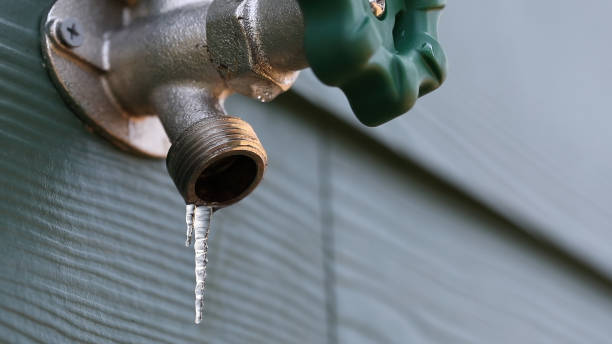 Best Affordable Plumbing Services  in North Brooksville, FL